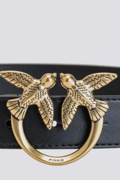 Cintura icon Love Bird