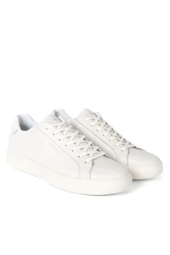 Sneakers Rex